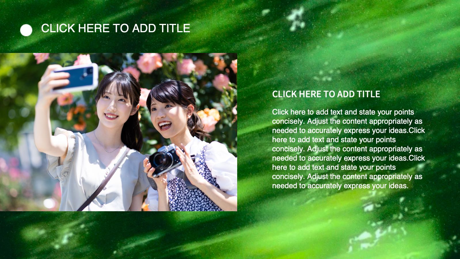 coverImagePaths
